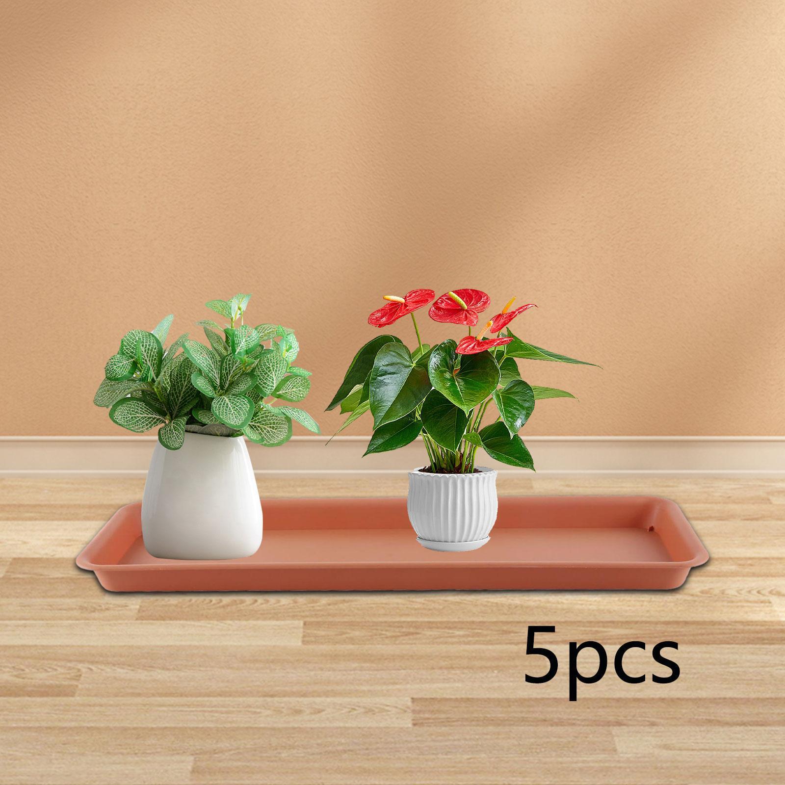 Wysoka doniczka na taras, pros – Drip Tray Saucer recenzja i cena