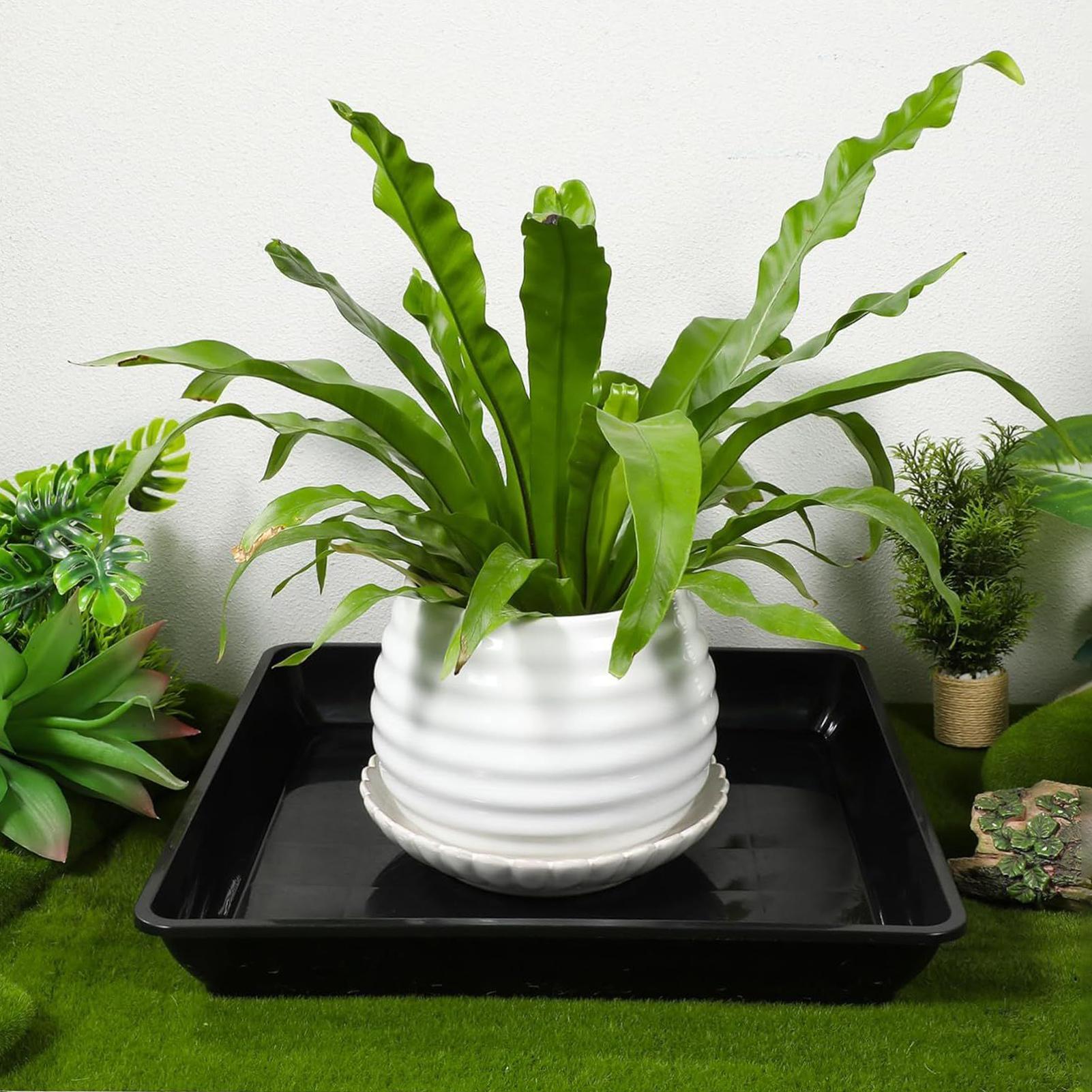 2 szt. Podstawki pod doniczki, – Drip Tray Saucer recenzja i cena
