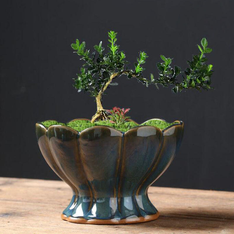 Doniczka z efektem przetworzen – Bonsai Garden Art recenzja i cena